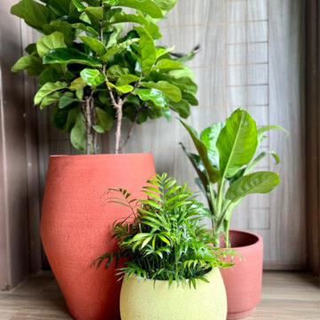 Living Room Cluster