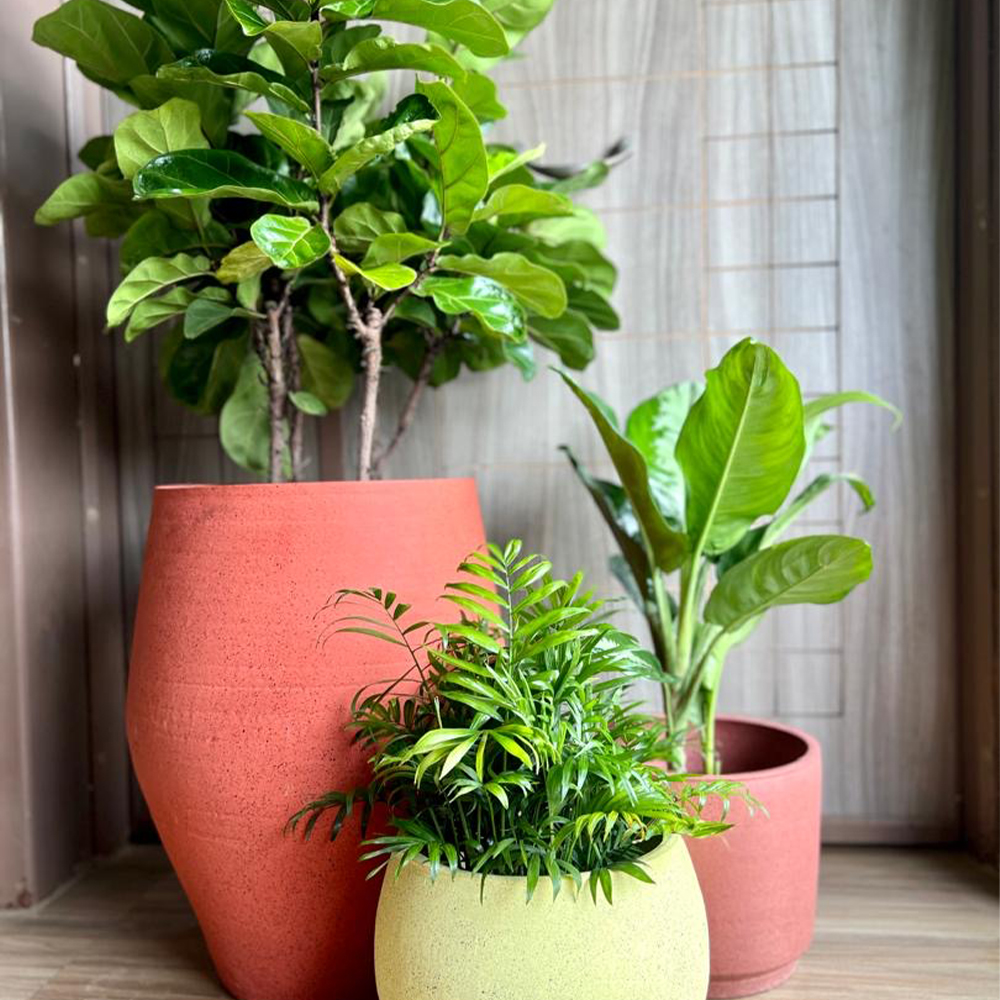 Living Room Cluster