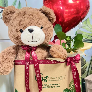 Teddy Bear Package